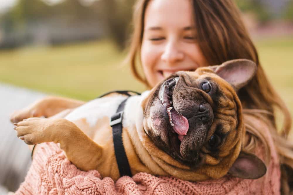 Apoyo emocional de tu mascota por qué es tan importante y efectiva en