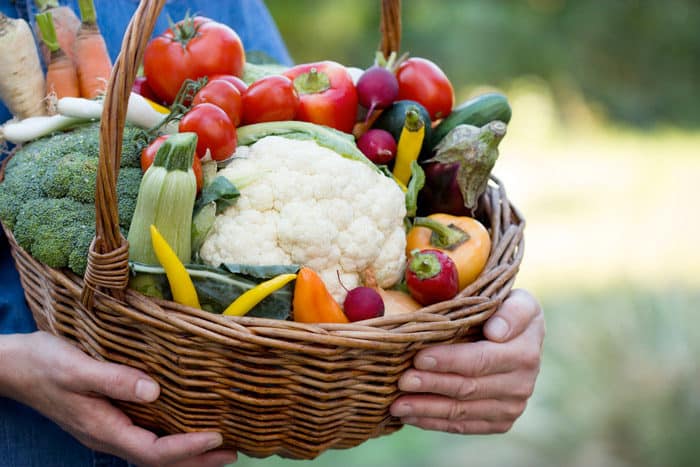 ¿qué Son Los Alimentos Orgánicos Y Cuáles Debo Usar Familias